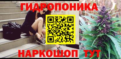 spice Кингисепп