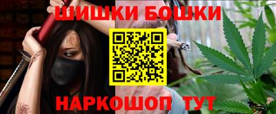 spice Кингисепп