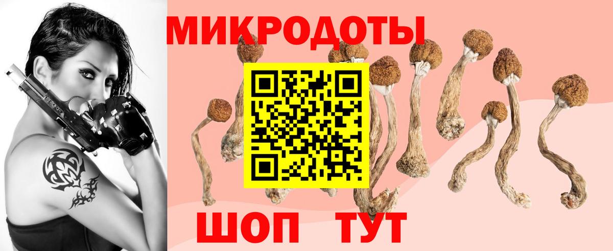 Псилоцибиновые грибы прущие грибы  Вход с VPN  Кострома  Псилоцибиновые грибы Magic Shrooms 