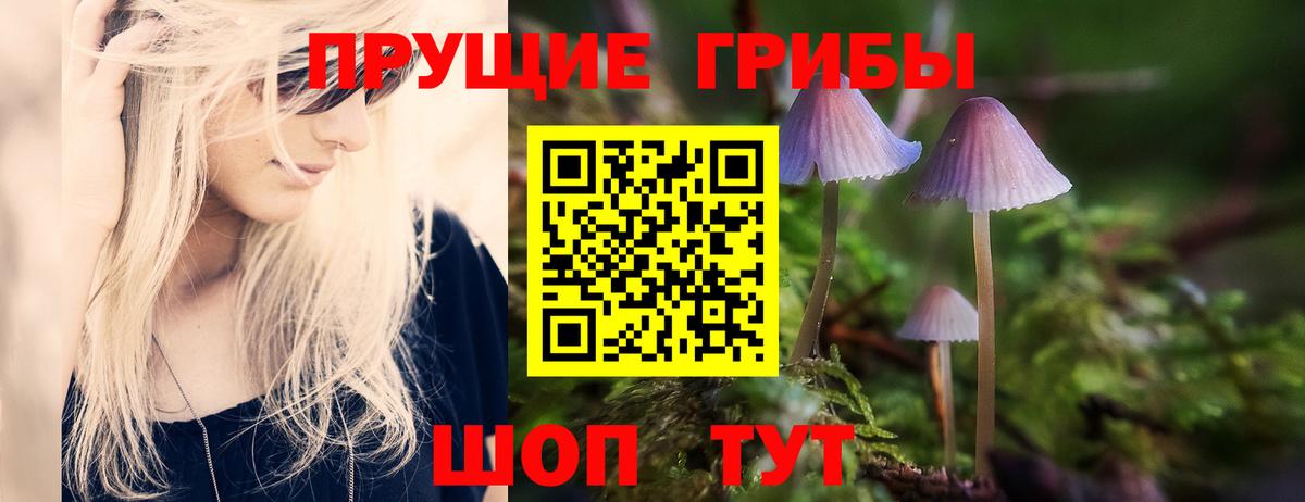 Псилоцибиновые грибы MAGIC MUSHROOMS Кострома